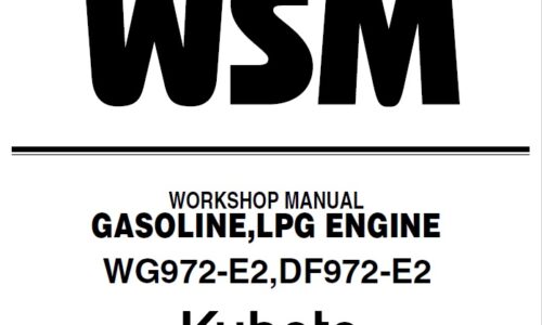 Kubota WG972-E2 DF972-E2 Gasoline LPG Engine Workshop Manual